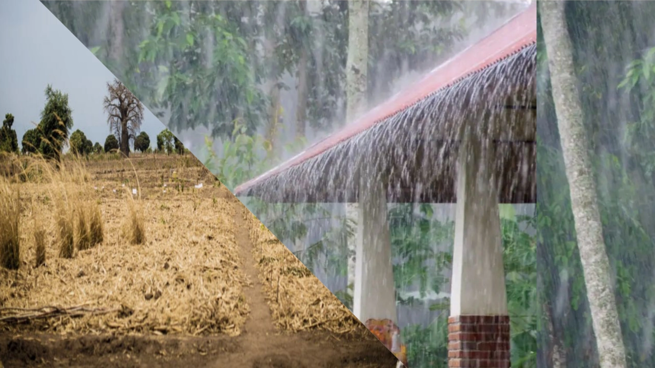 IMD update maharashtra mansoon