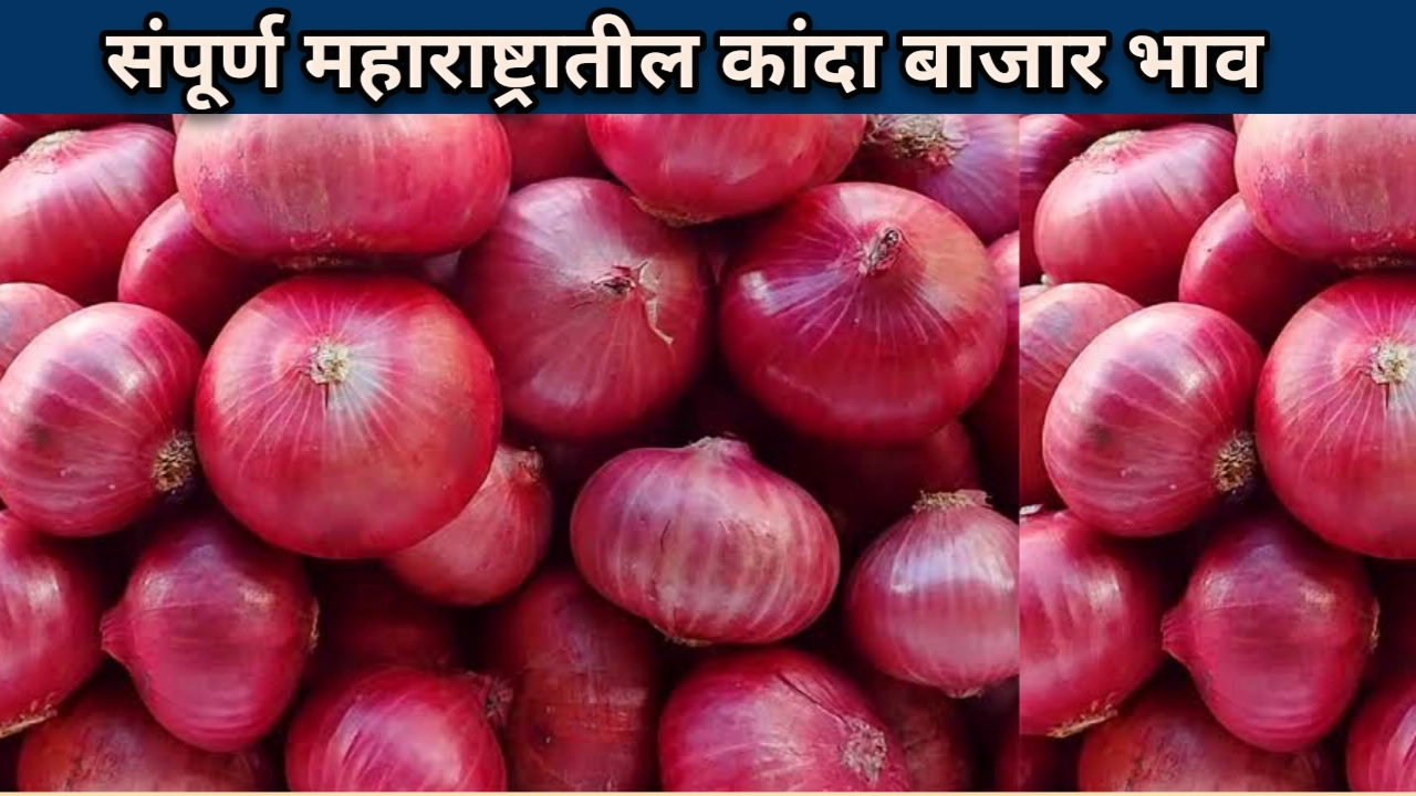 कांदा बाजार भाव