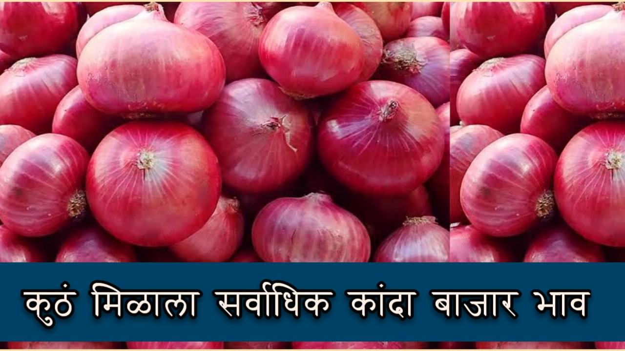 कांदा बाजार भाव