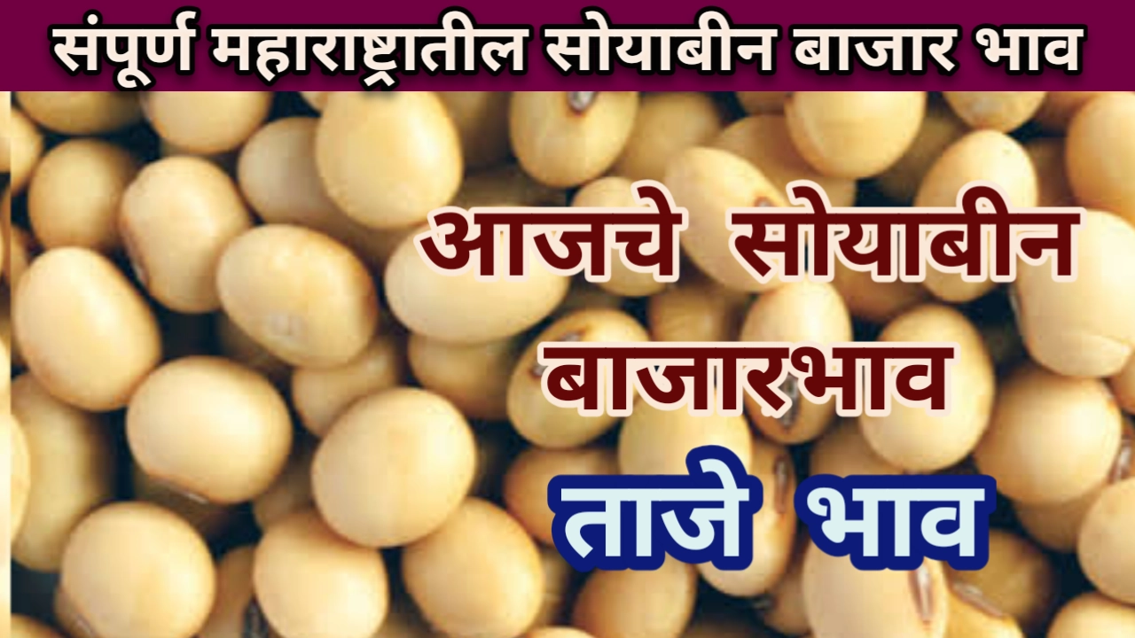 सोयाबीन बाजार भाव
