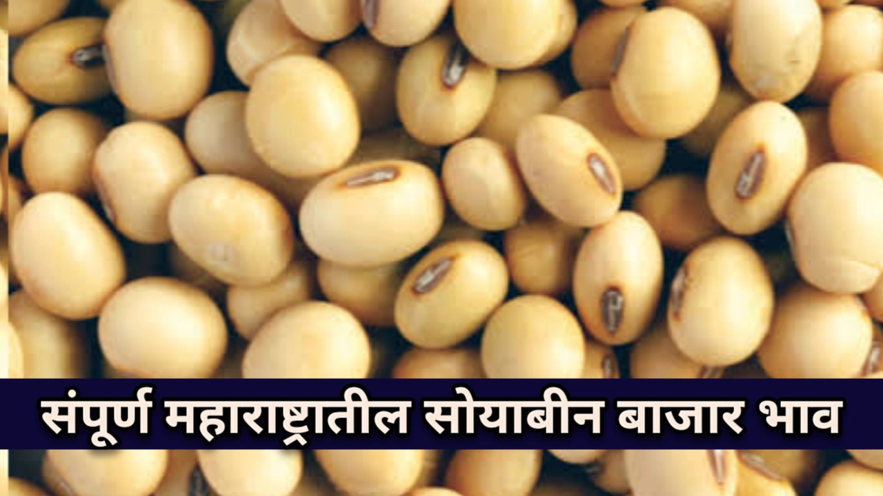 सोयाबीन बाजार भाव