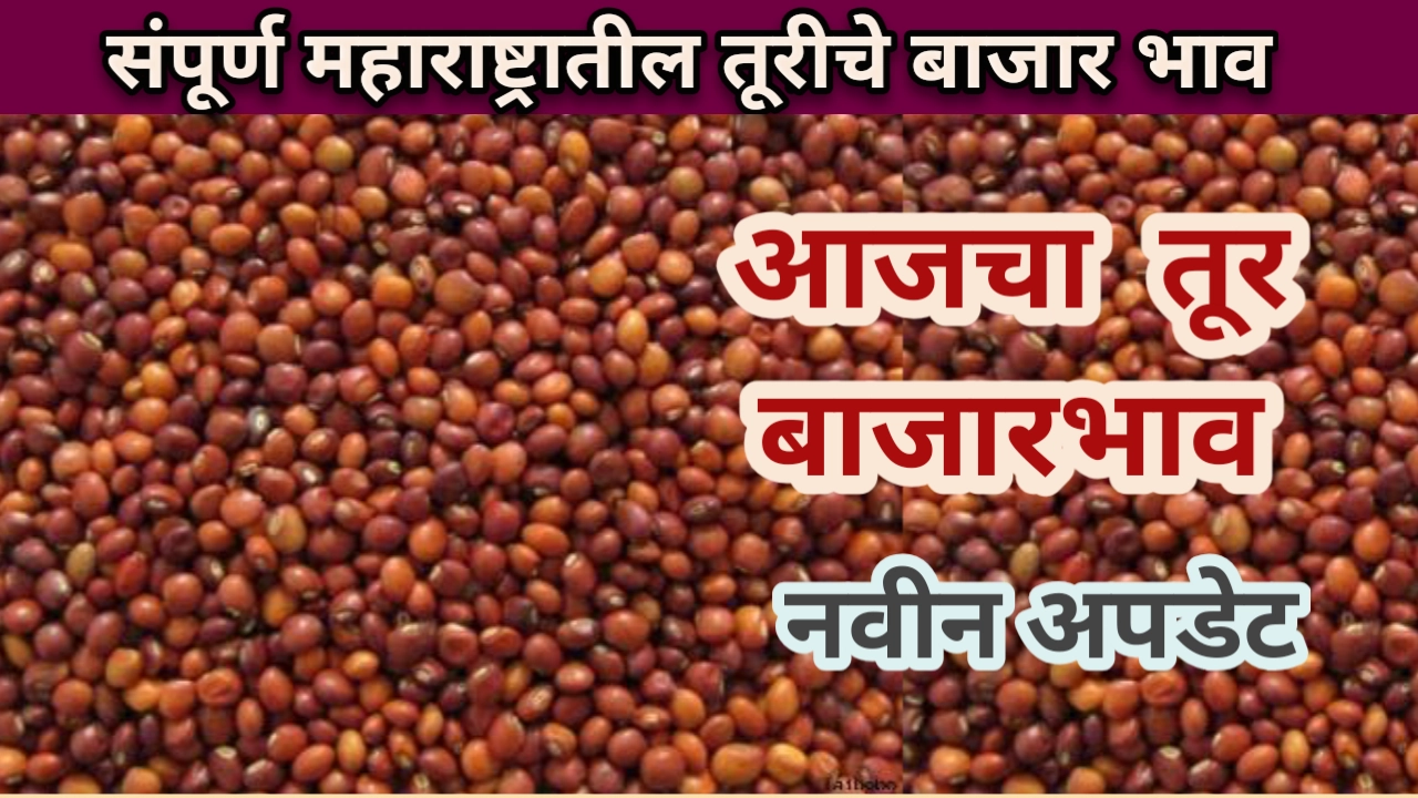 तूर बाजार भाव