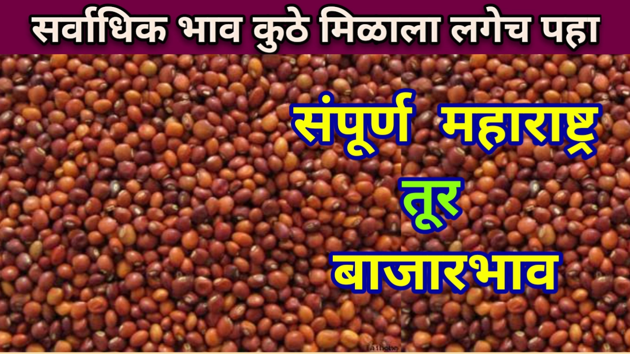 तूर बाजारभाव