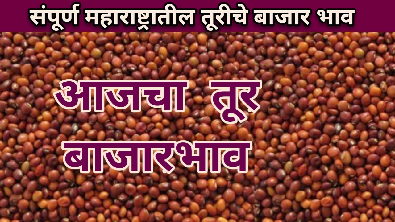 तूर बाजार समिती दर