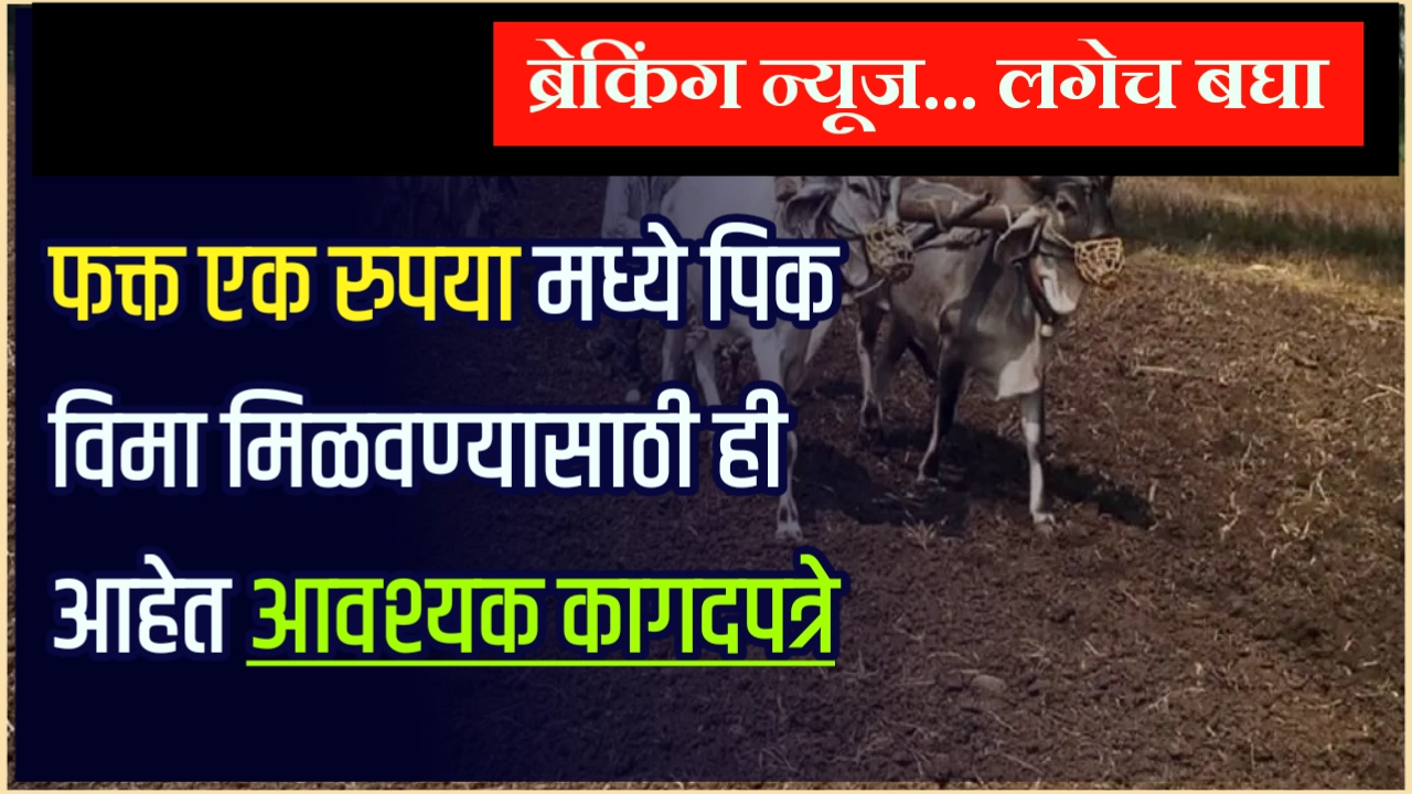 one rupee pik vima maharashtra