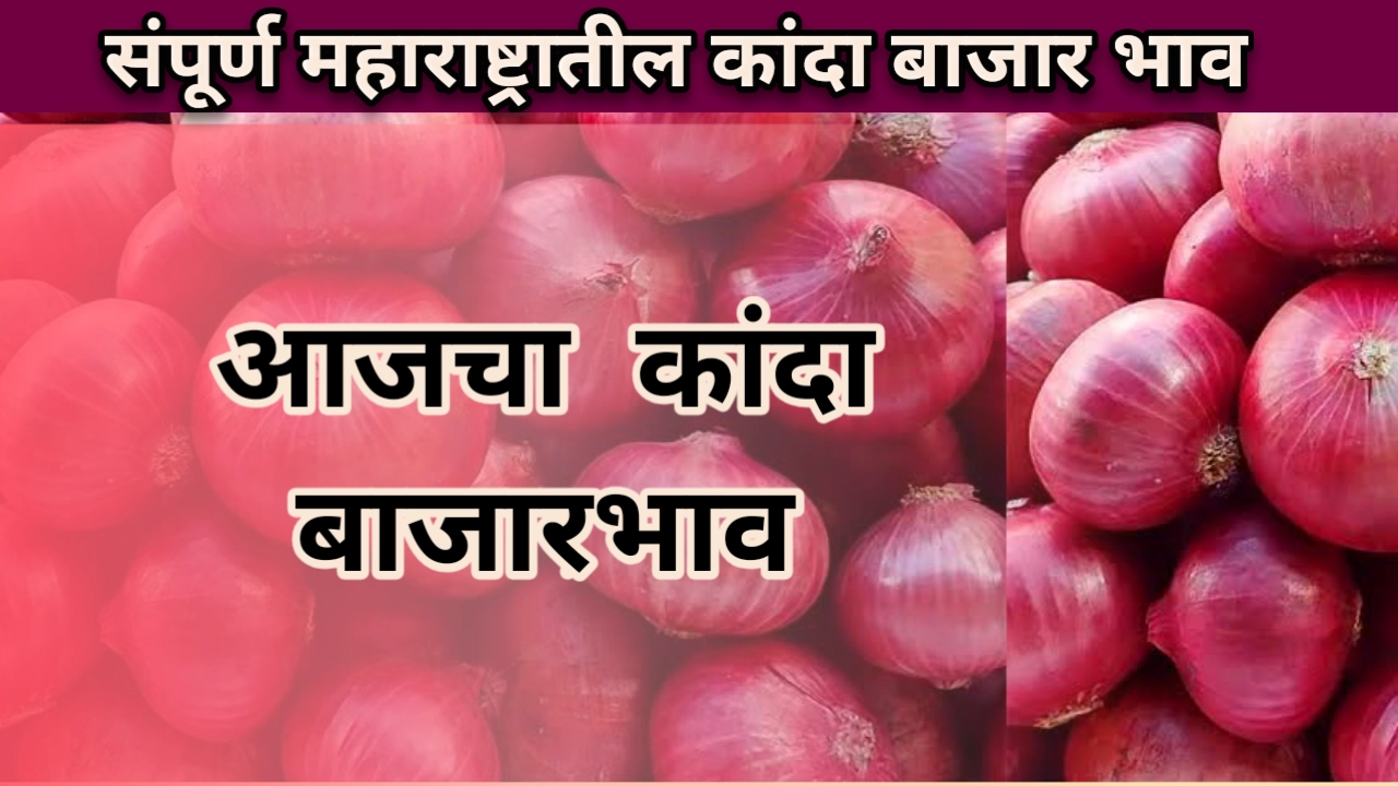 Onion Rate: आजचे कांदा बाजार भाव संपूर्ण महाराष्ट्र table Today onion rate