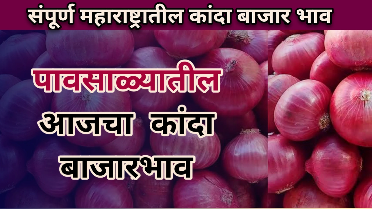 कांदा बाजारभाव