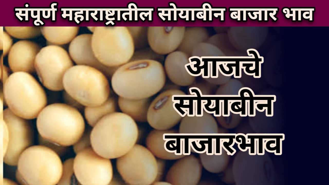 सोयाबीन बाजारभाव