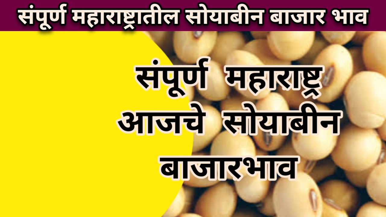 Soyabean rate maharashtra