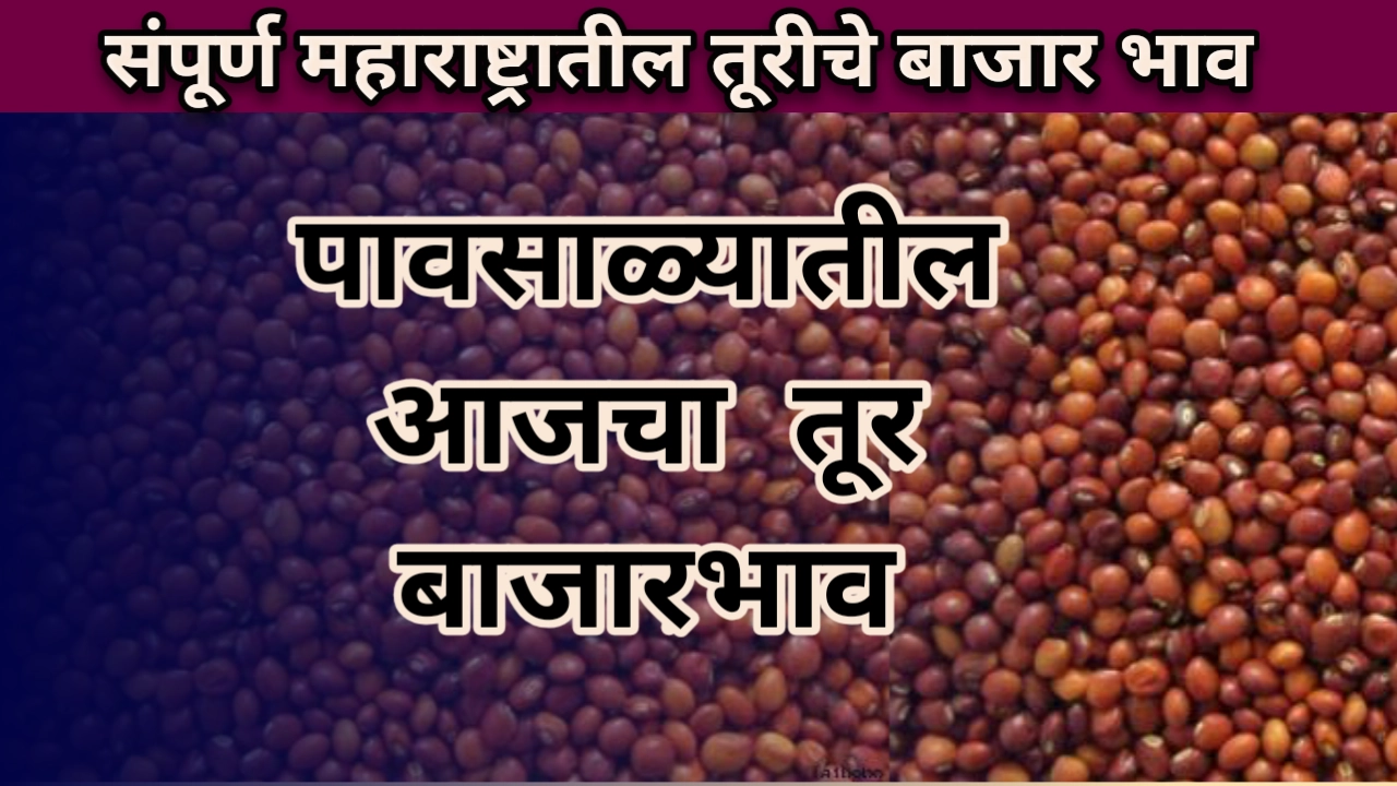 तूर बाजारभाव