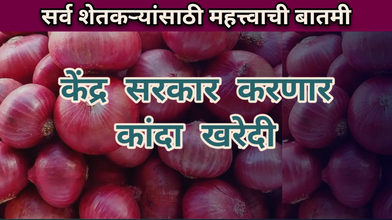 Onion news marathi