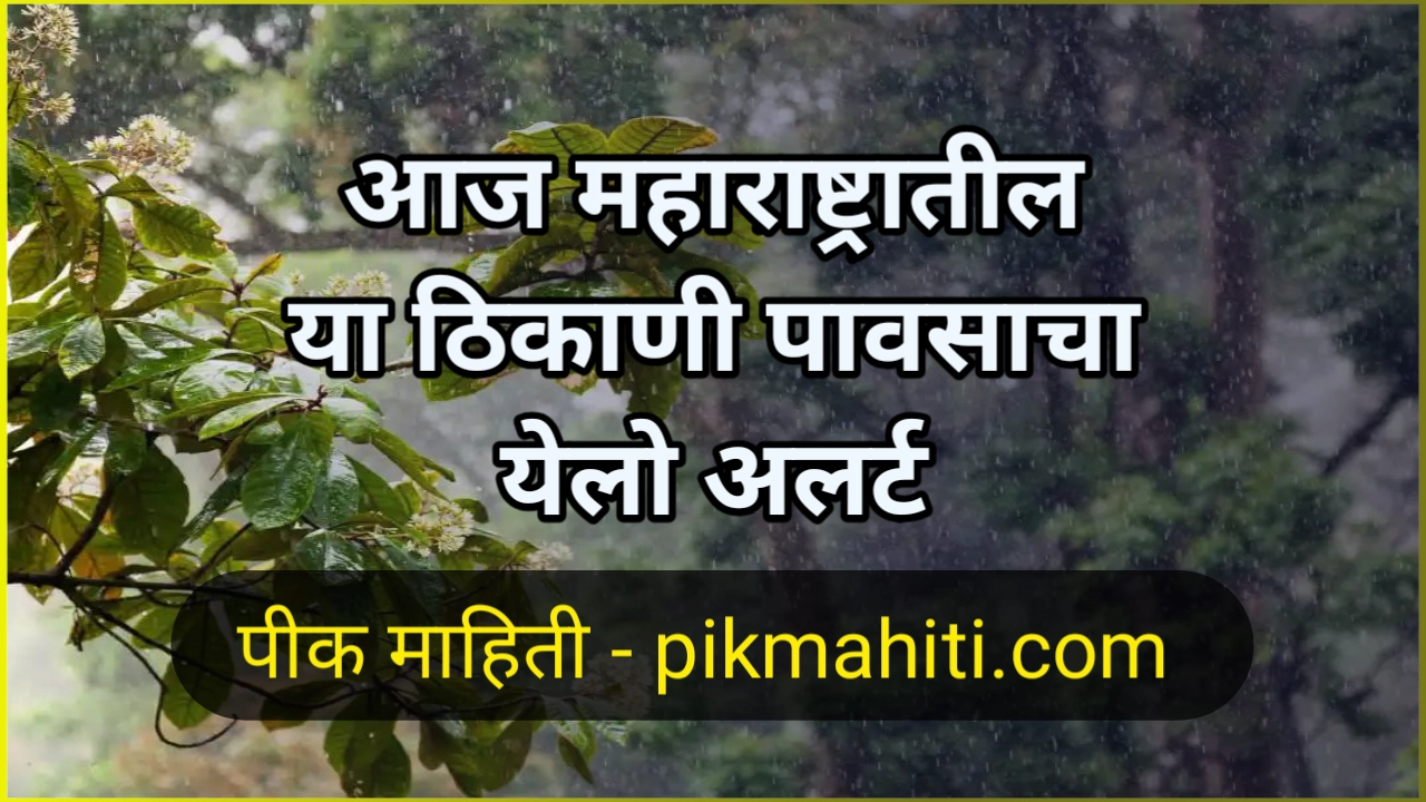 Havaman Live maharashtra