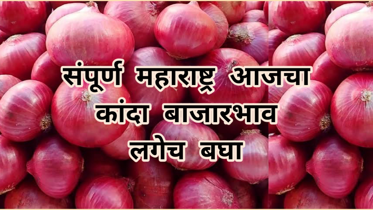 Onion Rate: आजचा कांदा बाजार भाव महाराष्ट्र, महाराष्ट्रातील आजचे कांदा बाजार समिती दर