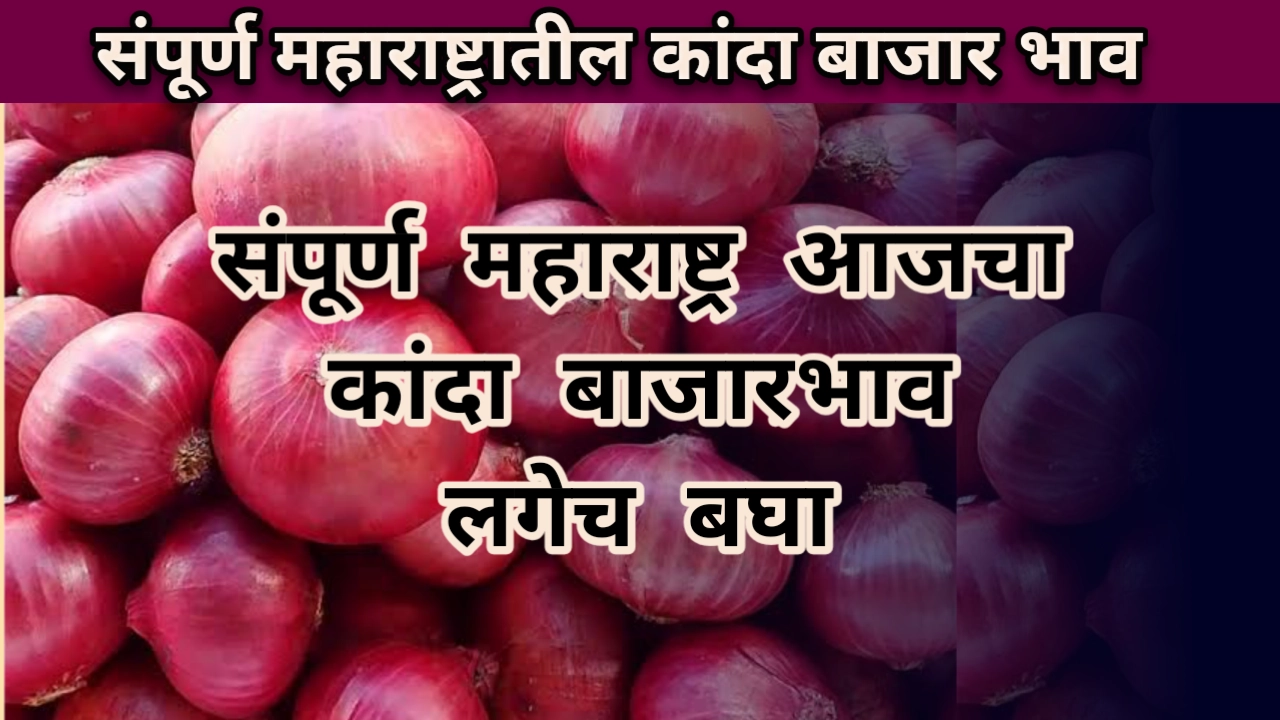 Onion Rate: कांदा बाजार भाव बदल, आजचा कांदा बाजार भाव संपूर्ण महाराष्ट्र