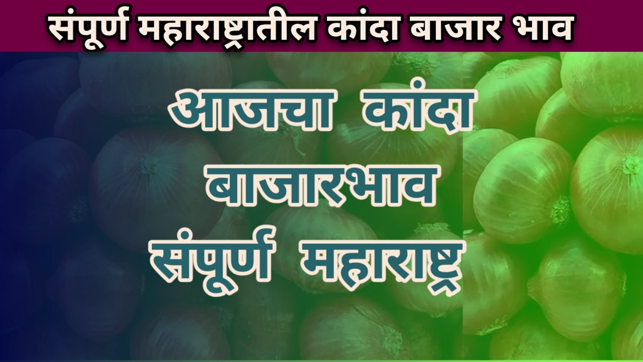 Kanda bajar bhav maharashtra