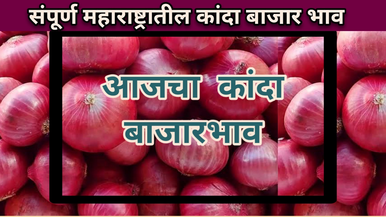 Kanda bajarbhav maharashtra