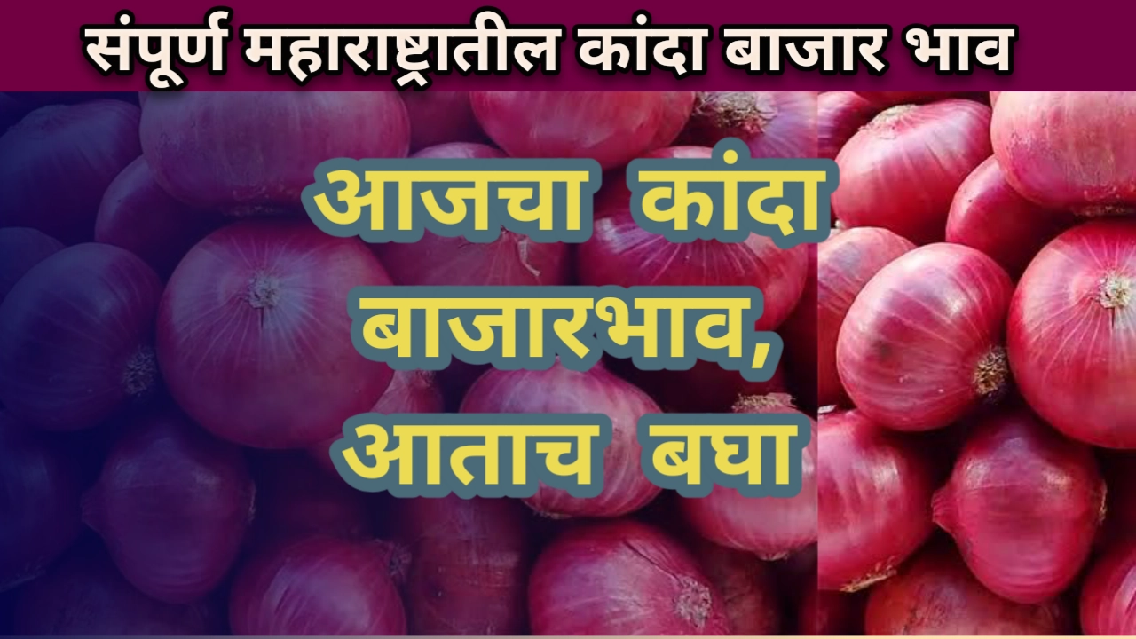 Kanda bajar bhav maharashtra