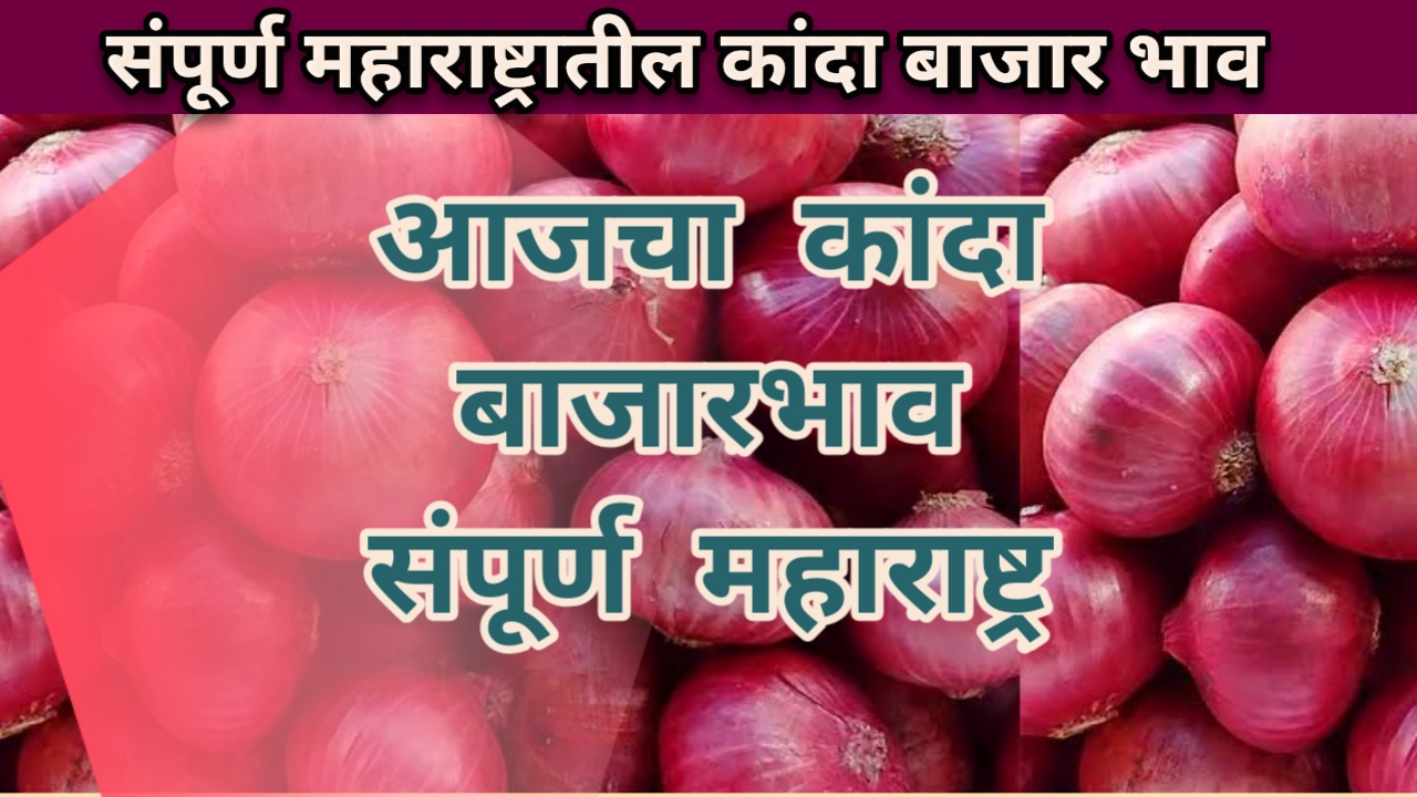 Kanda bajar bhav maharashtra