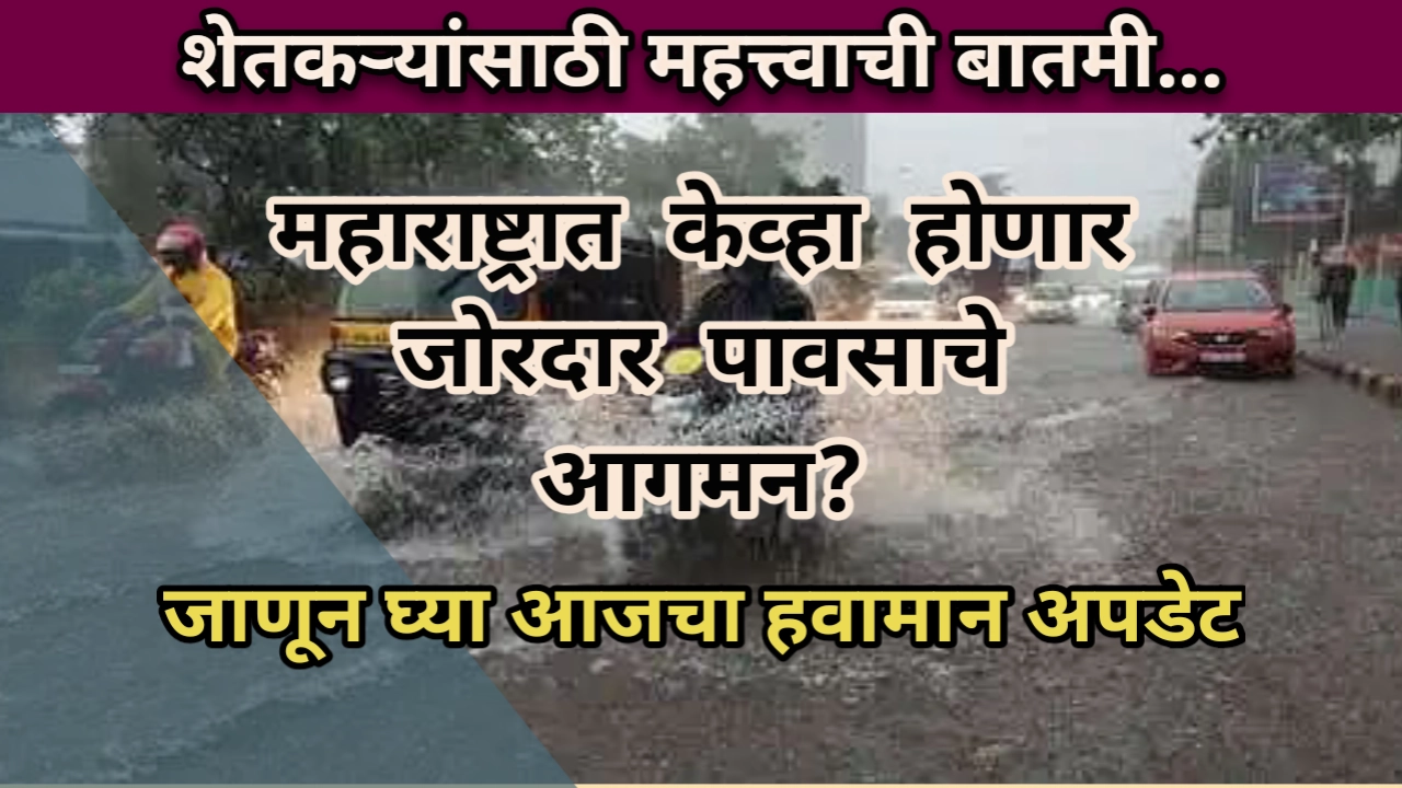 Maharashtra Rain update