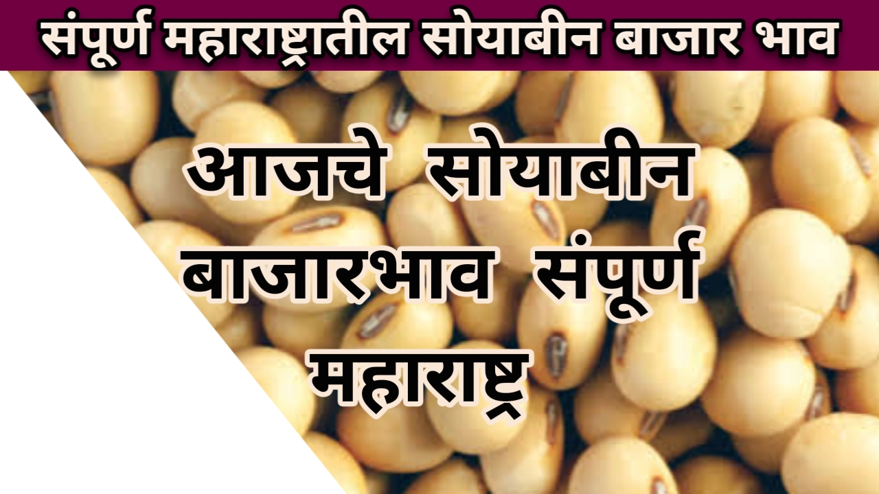 Soyabean bajarbhav maharashtra