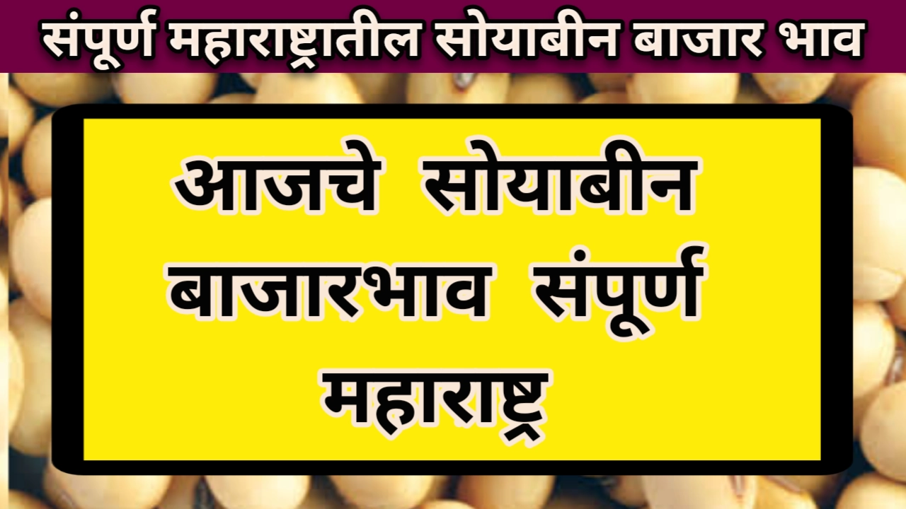 Soyabean Rate: आजचा सोयाबीन बाजारभाव table