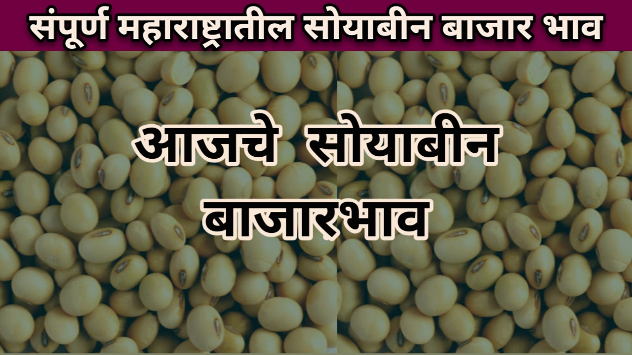 Soyabean Rate: आजचा सोयाबीन बाजारभाव दिनांक 18/08/2023 table Soyabean bajar bhav