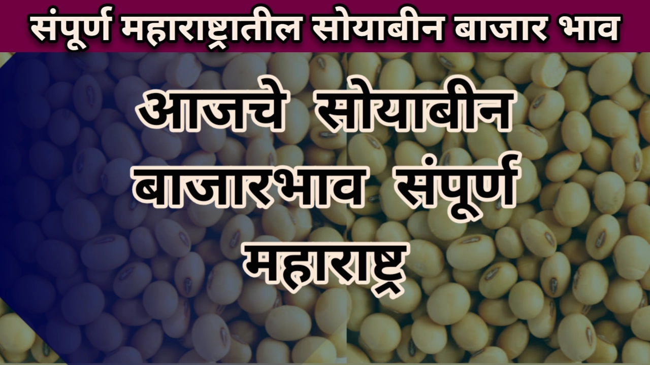 Soyabean rate maharashtra