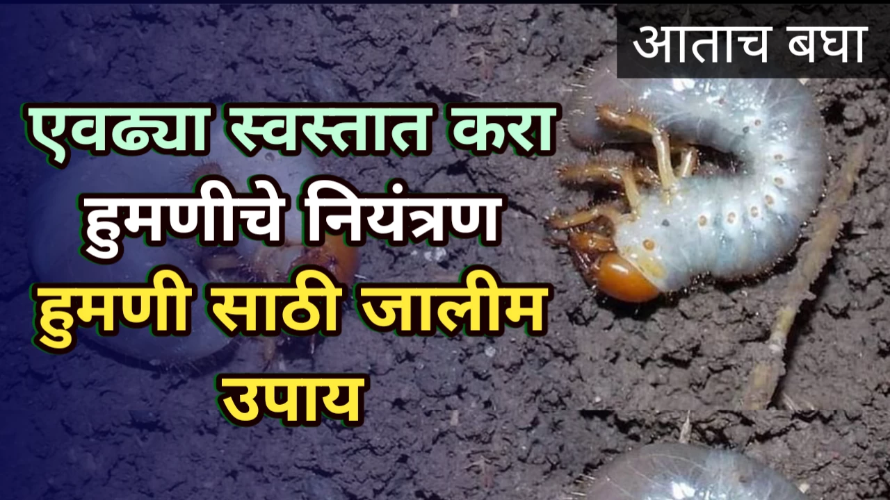 Humani management in Marathi