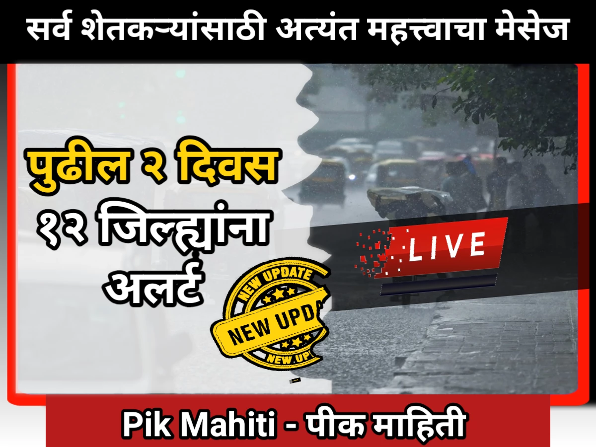 IMD update: पुढील 2 दिवस धुंवाधार पाऊस, अलर्ट जारी IMD update