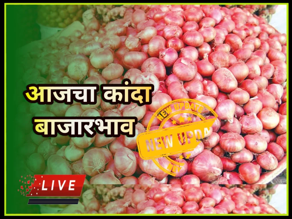 Mug rate: मूग बाजारभाव महाराष्ट्र, संपूर्ण महाराष्ट्रातील मुगाचे भाव Kanda bajar bhav