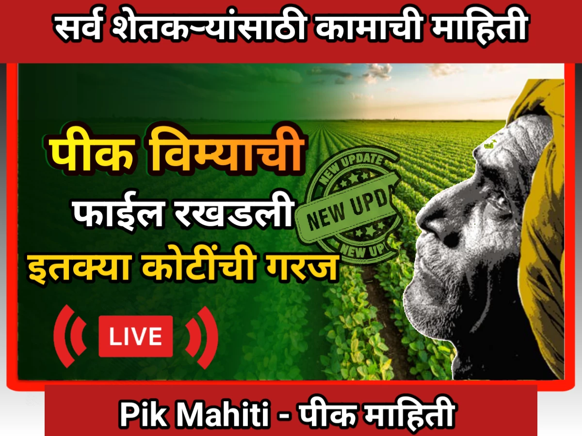 शेतकऱ्यांची पीक विम्याची फाईल रखडली, हजार कोटी रुपये दिले तरच पुढे सरकल फाईल Pik vima