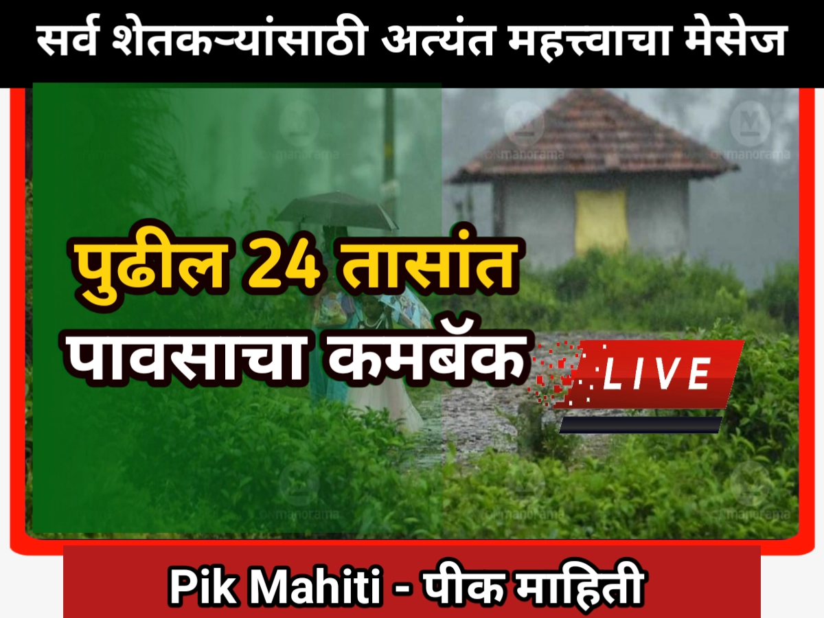 Rain forecast: पुढील 24 तासात महाराष्ट्रात या जिल्ह्यात पावसाचा कमबॅक Rain forecast
