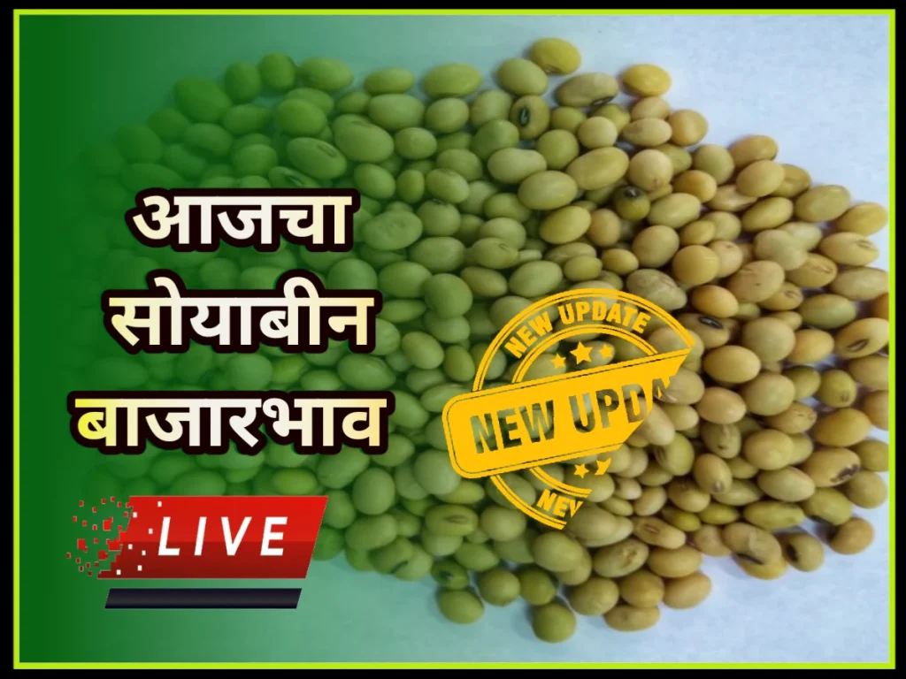 Soyabean bajar bhav