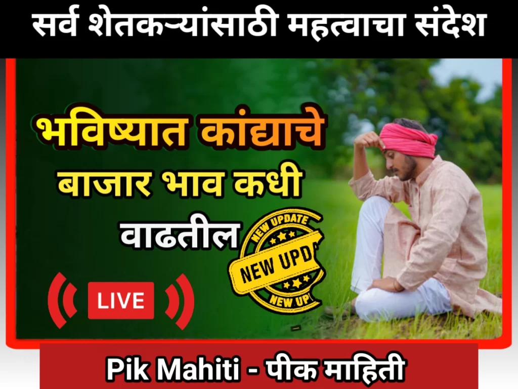 Tomato Rate: टोमॅटोचे बाजार भाव अचानक कसकाय पडले बघा Onion rate