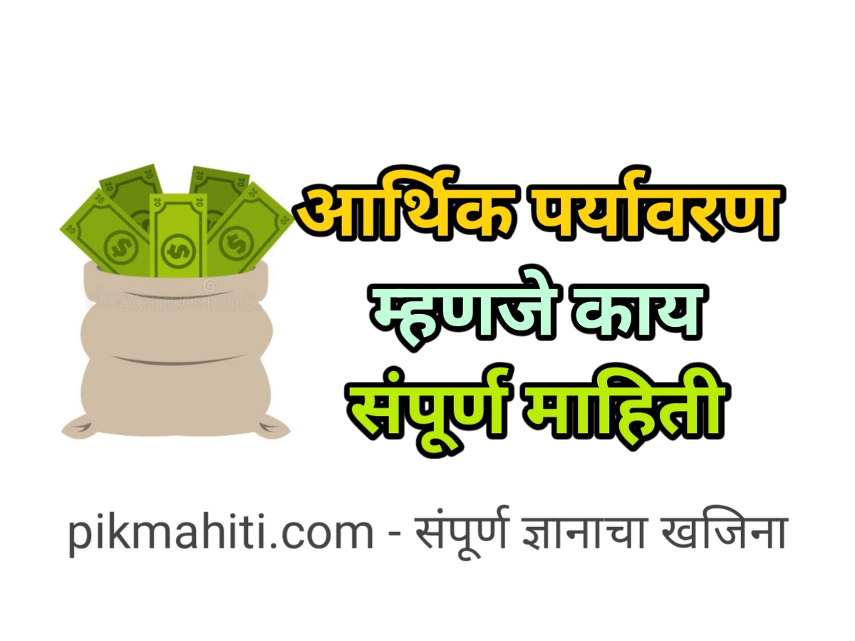 आर्थिक पर्यावरण म्हणजे काय