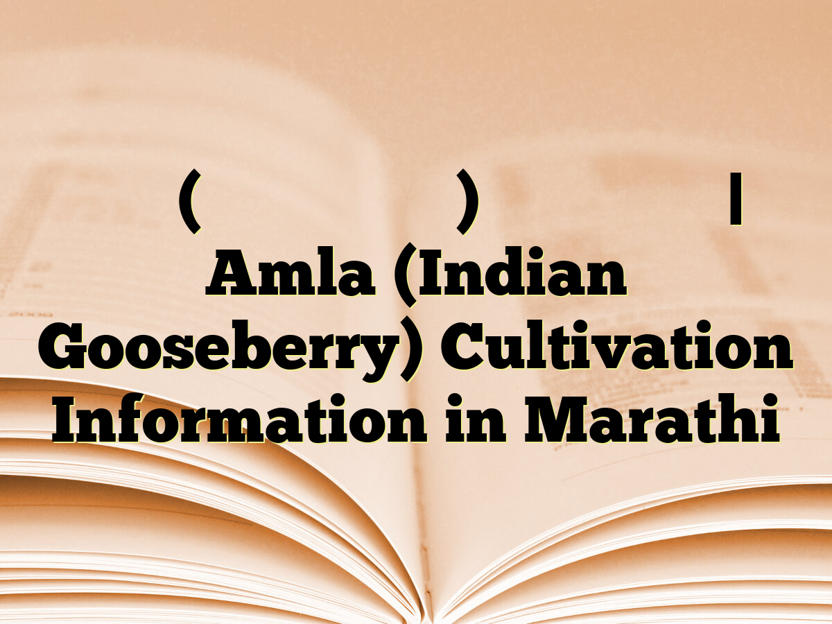 आवळा (भारतीय हंसबेरी) लागवड माहिती | Amla (Indian Gooseberry) Cultivation Information in Marathi