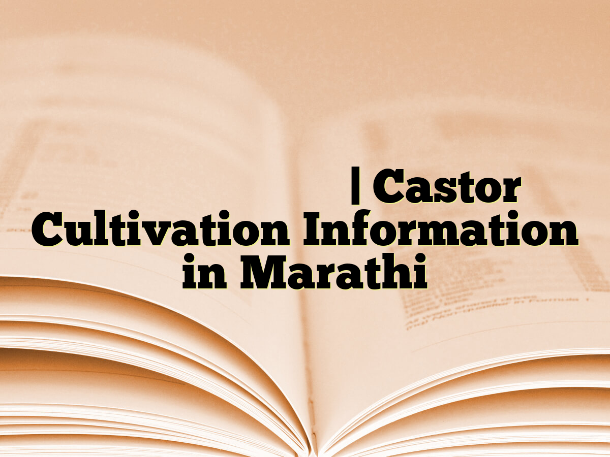एरंडेल लागवड माहिती | Castor Cultivation Information in Marathi
