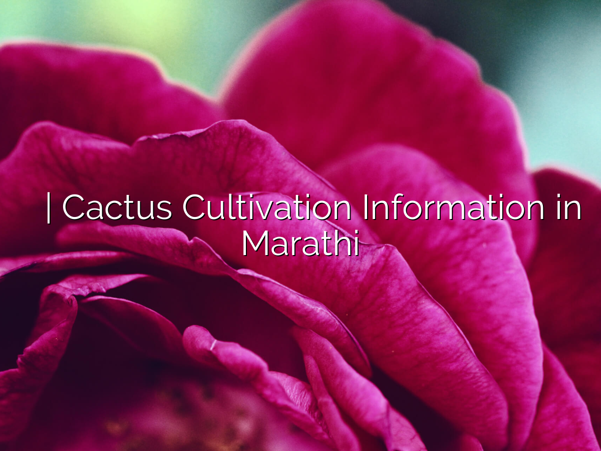 कॅक्टस लागवड माहिती | Cactus Cultivation Information in Marathi कॅक्टस लागवड माहिती | Cactus Cultivation Information in Marathi