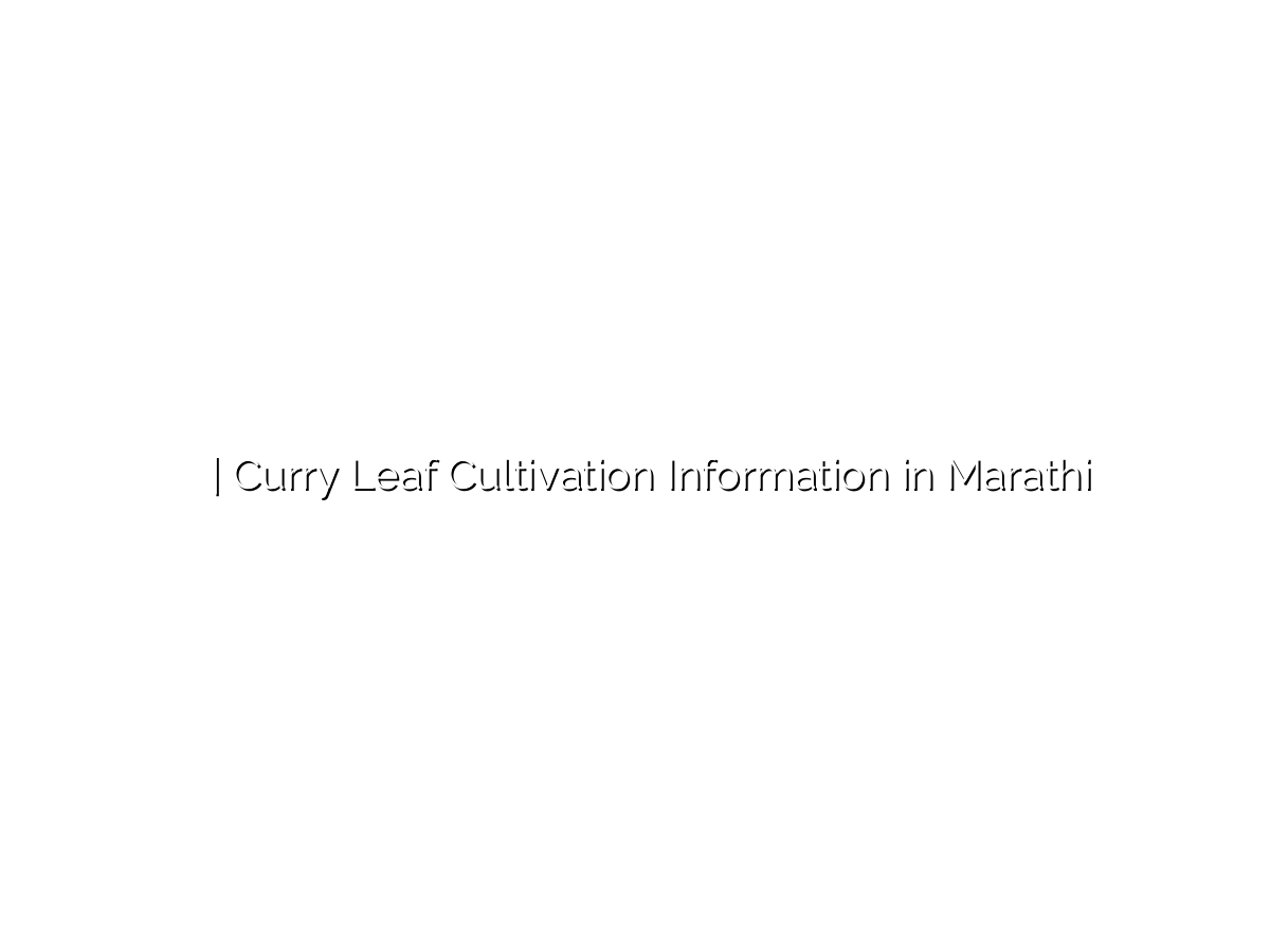 कढीपत्ता लागवड माहिती | Curry Leaf Cultivation Information in Marathi