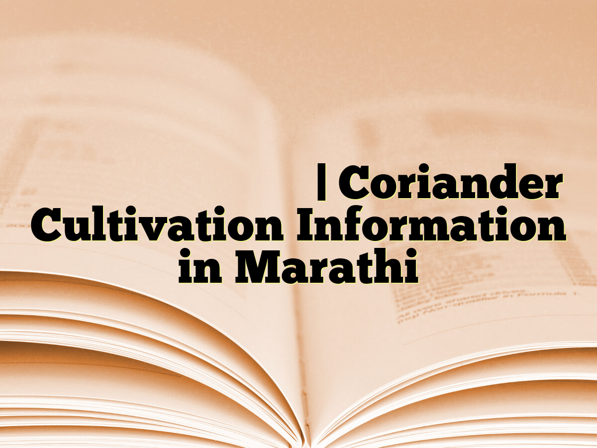 कोथिंबीर लागवड माहिती | Coriander Cultivation Information in Marathi