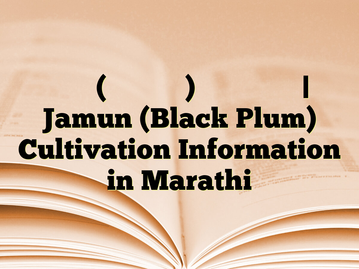 जामुन (ब्लॅक प्लम) लागवड माहिती | Jamun (Black Plum) Cultivation Information in Marathi
