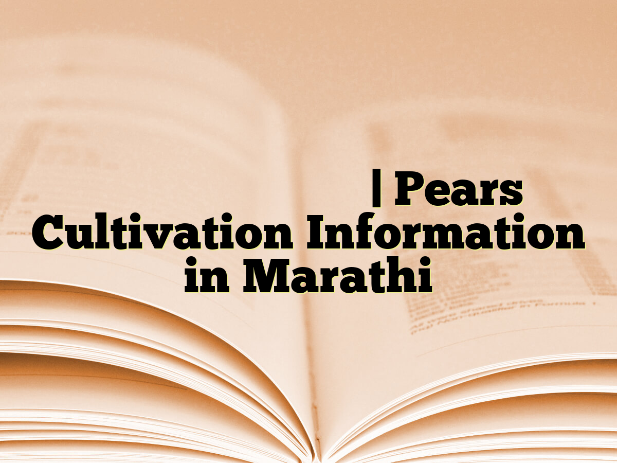 नाशपाती लागवड माहिती | Pears Cultivation Information in Marathi