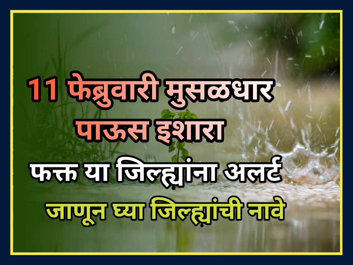 Havaman Andaj: जोरदार पावसाचा इशारा, 11 तारखेला या जिल्ह्यांमध्ये पडणार मुसळधार पाऊस Havaman andaj