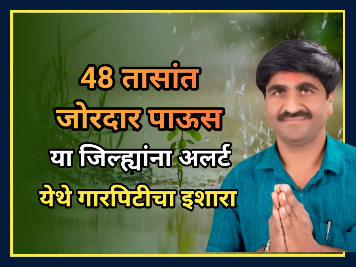 IMD Update: पुढील 48 तासात जोरदार गारपिटीचा इशारा, जिल्ह्यांची नावे जाहीर IMD update